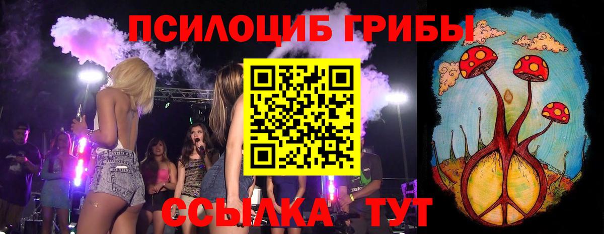 Псилоцибиновые грибы Psilocybine cubensis Калач-на-Дону