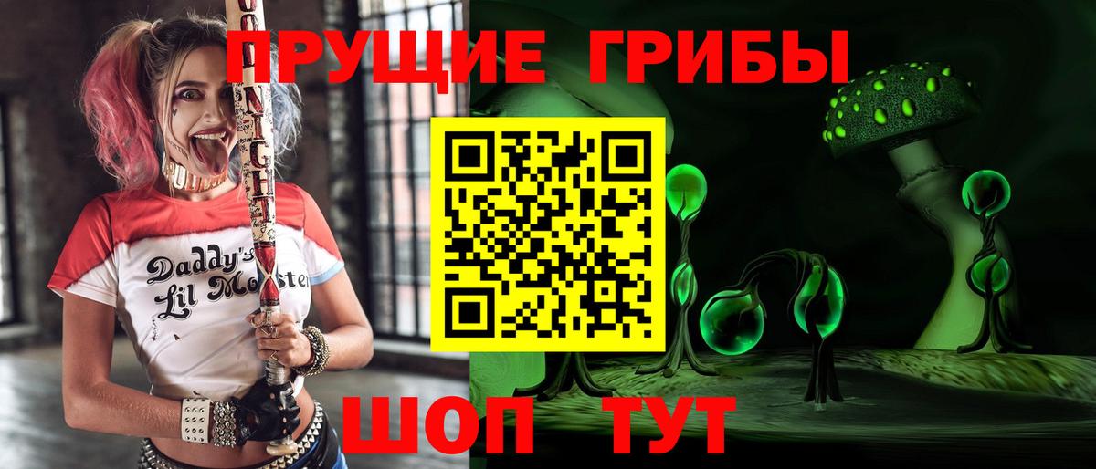 Калач-на-Дону  Галлюциногенные грибы прущие грибы  Галлюциногенные грибы мицелий  Вход с VPN 